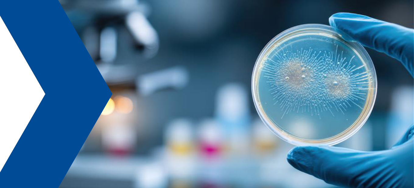 Mikrobiologisches Monitoring - Keimidentifizierung