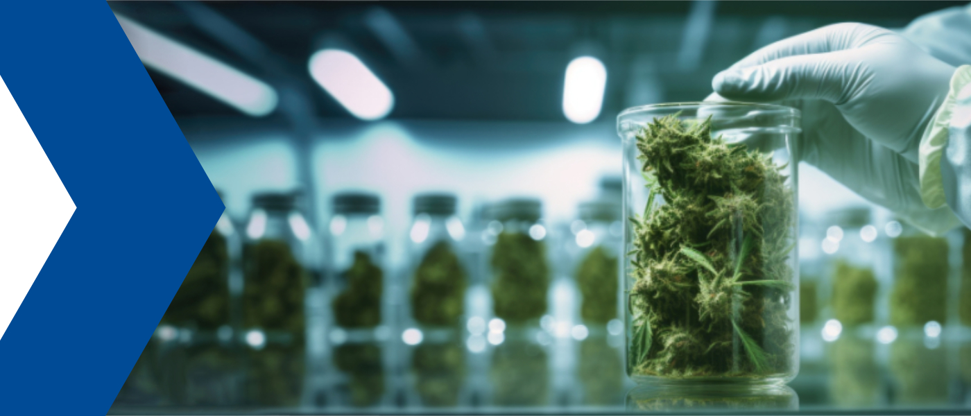 Prüfungen in der neuen Ph. Eur.-Monographie über Cannabisblüten