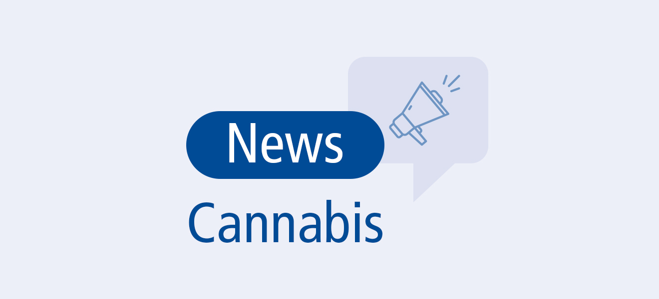 Cannabisgesetz tritt am 1. April in Kraft